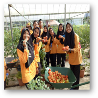 PVMA : JURUTEKNIK TANAMAN
